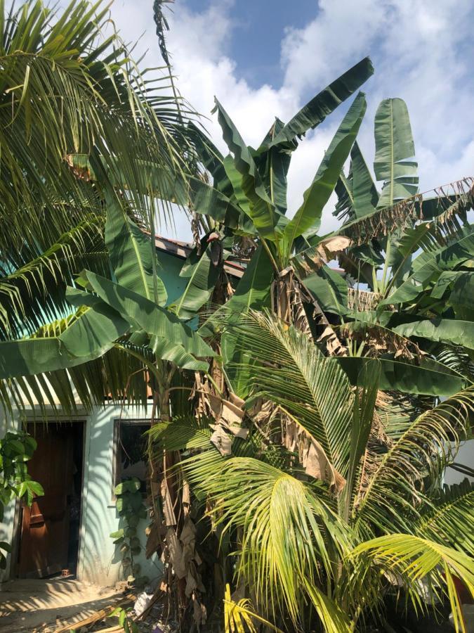 Macondo Mpai Bay ロンサレム島 エクステリア 写真
