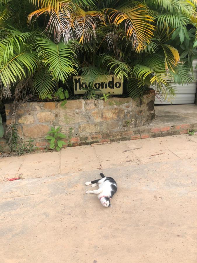 Macondo Mpai Bay ロンサレム島 エクステリア 写真